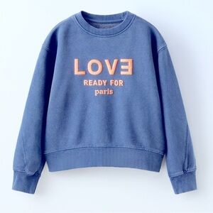 Zara Blue Knit Top